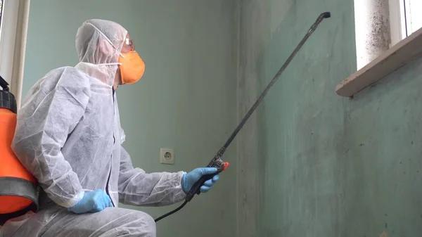 Professional Henrico Mold Remediation Service You Can Count On