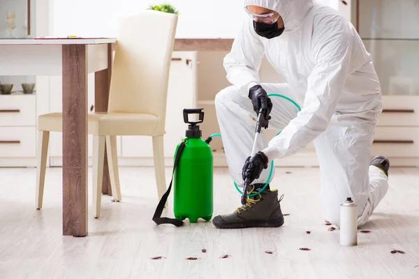Affordable Pest Control Near Me for Home and Business