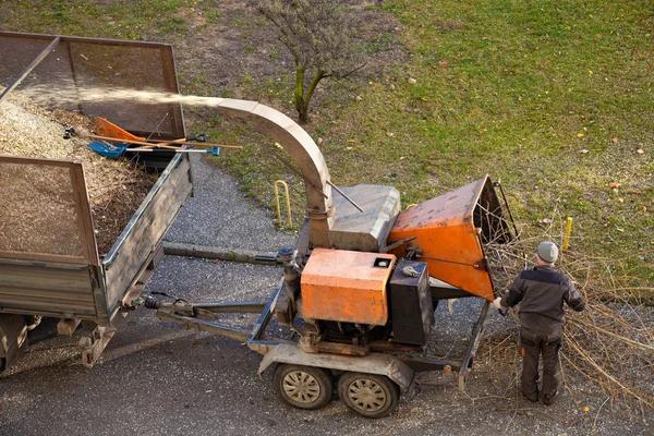 Reliable Tree Trimming That Keeps Your Yard Beautiful